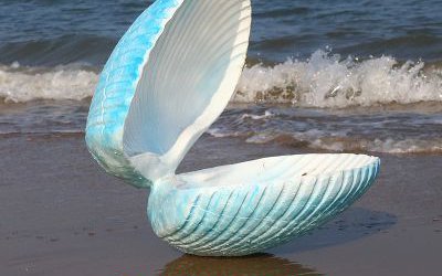 公園擺放的張開(kāi)的玻璃鋼彩繪貝殼雕塑