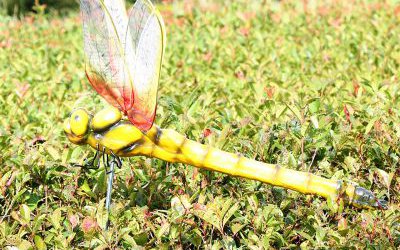 公園草坪玻璃鋼仿真動(dòng)物蜻蜓雕塑