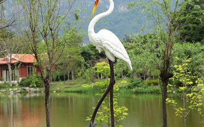池塘草坪創(chuàng)意大長腿玻璃鋼仿真動物丹頂鶴雕塑