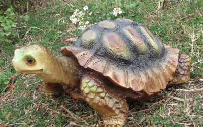 公園創(chuàng)意玻璃鋼仿真動物烏龜雕塑